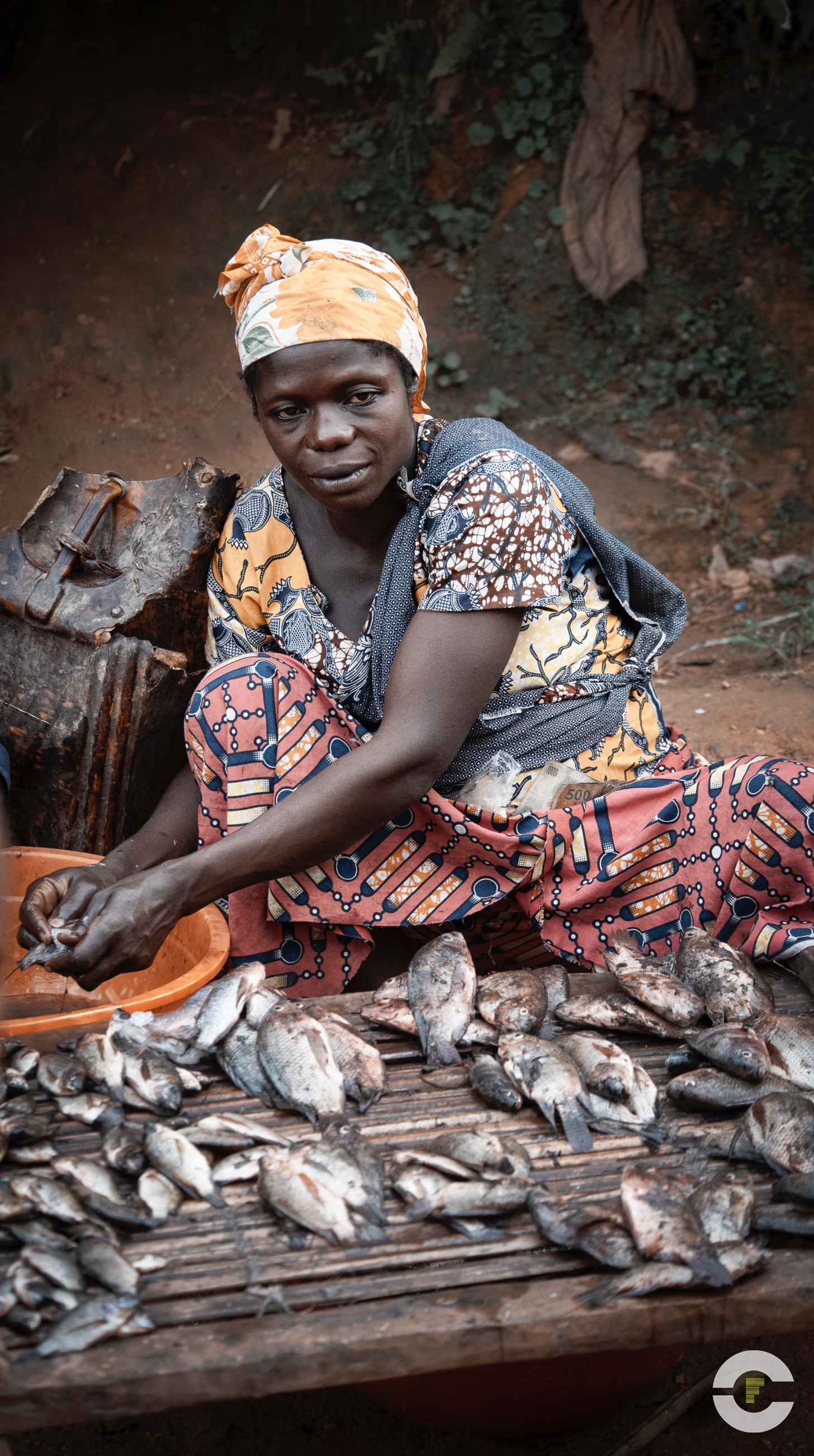 Congo / Kivu del Sur /2019